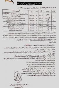 Board of Intermediate and Secondary Education Abbottabad Jobs 2020