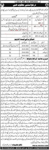 Education Department (Schools) District Naseerabad Jobs