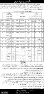 Jobs In District Console Vehari