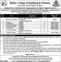 Jobs In Hailey College Of Banking And Finance Lahore