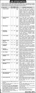 Jobs In Pakistan Maternal Mortality Survey PMMS 2018-19