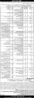 Jobs In Social Welfare And Bait Ul Maal 2019