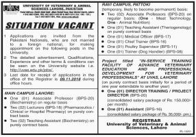 Jobs In University Of Veterinary And Animal Sciences UVAS Lahore