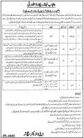 PLRA Punjab Land Records Authority Jobs June 2020