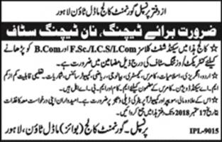 Jobs In Govt College Model Town Lahore