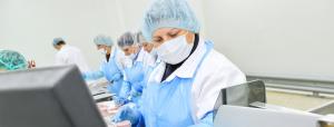 Unskilled workers to Europe