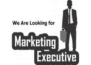 Marketing Executive